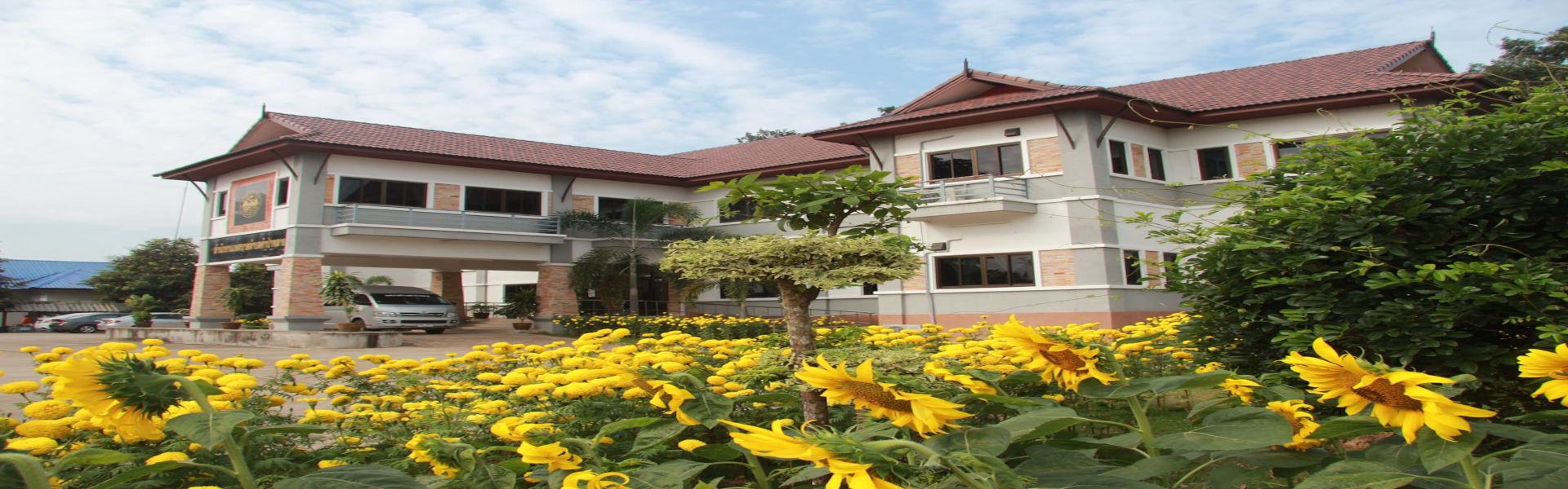 พื้นหลัง